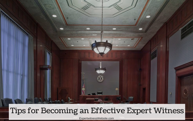 Effective Expert Witness