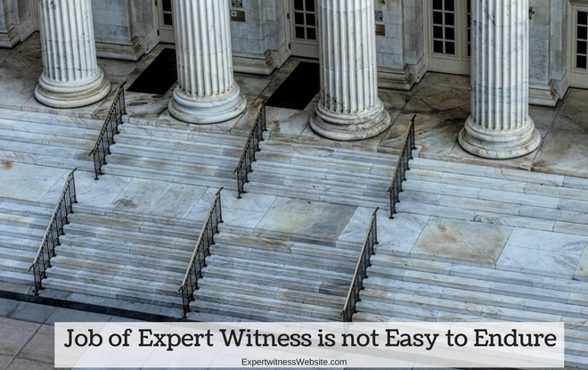 Expert Witness