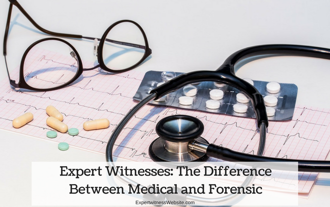 Expert Witness